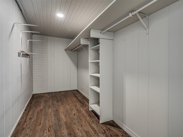 spacious closet featuring dark hardwood / wood-style floors