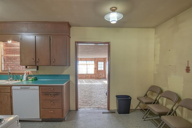 kitchen with white dishwasher and sink