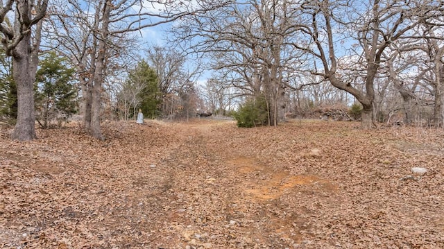 view of nature