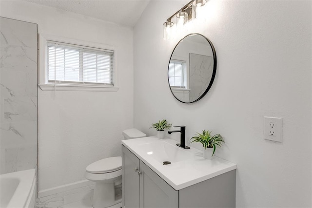 bathroom with toilet and vanity