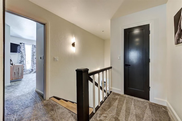 hallway featuring carpet floors