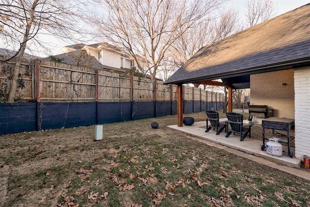 view of yard featuring a patio area