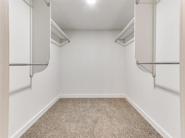 walk in closet featuring carpet flooring