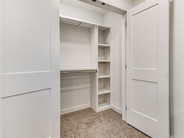 walk in closet featuring light colored carpet