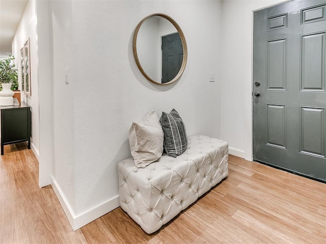 entrance foyer with light hardwood / wood-style floors