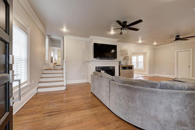 living room featuring ceiling fan, crown molding, and light hardwood / wood-style flooring