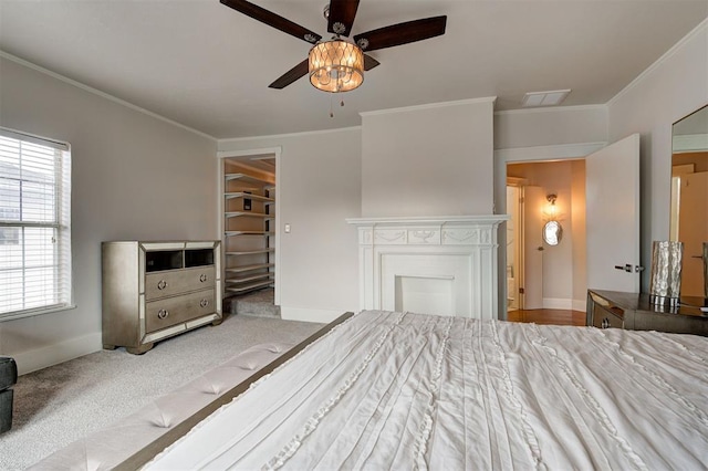 unfurnished bedroom with ceiling fan, a walk in closet, carpet, and ornamental molding