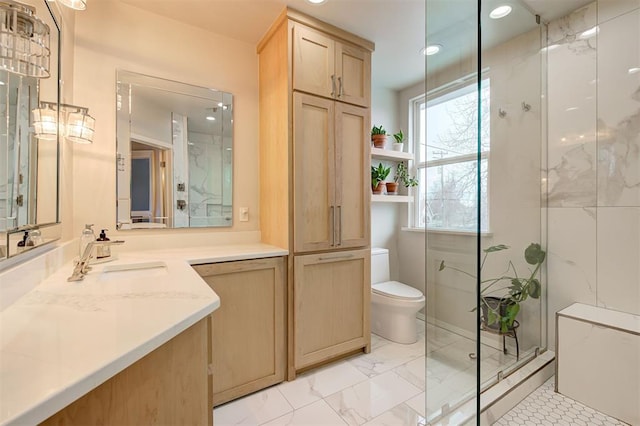 bathroom with toilet, vanity, and walk in shower