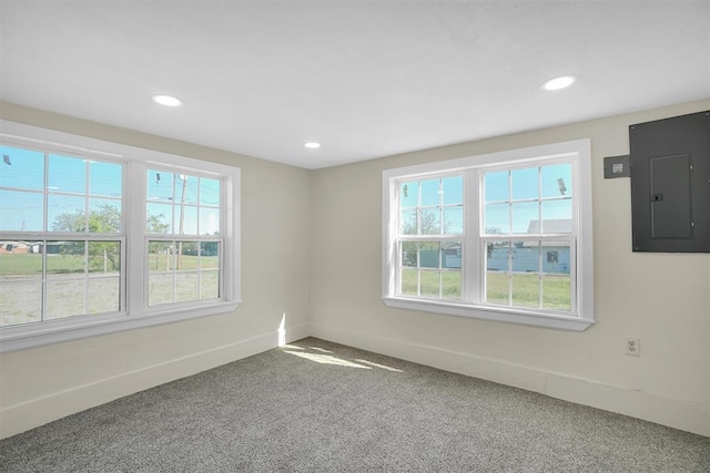 carpeted empty room with a wealth of natural light and electric panel