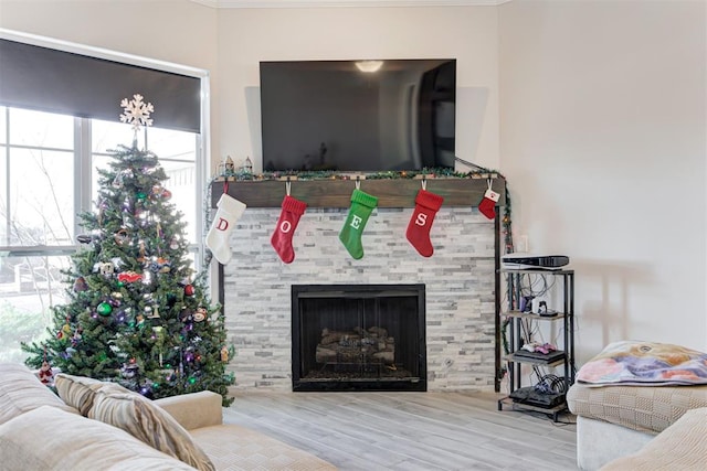 living room with a stone fireplace and hardwood / wood-style floors