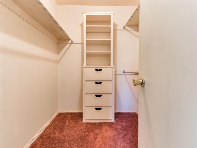 spacious closet featuring dark colored carpet