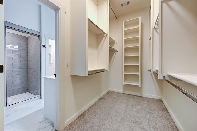 view of walk in closet