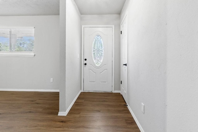 foyer featuring dark hardwood / wood-style floors