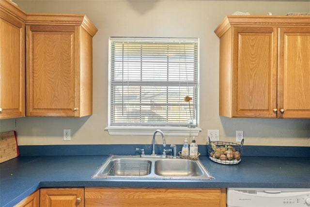 kitchen featuring dishwasher and sink