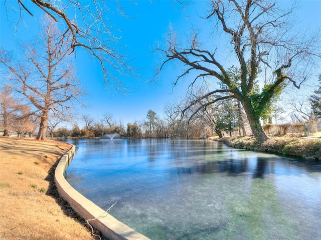 view of water feature