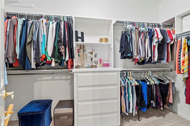 spacious closet with light carpet