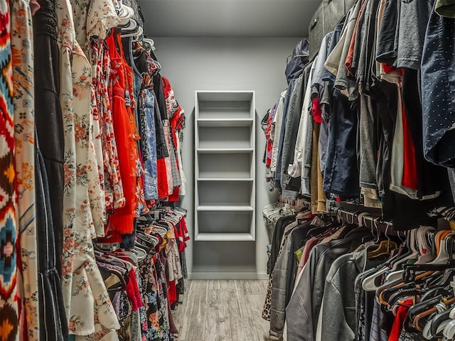 walk in closet with wood-type flooring