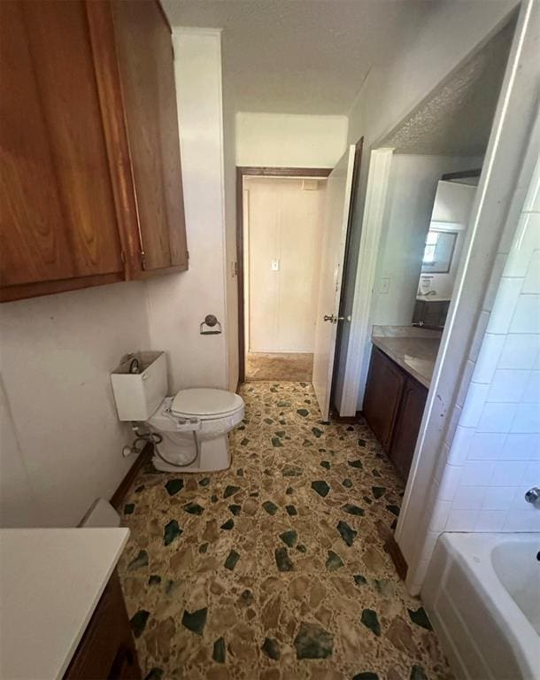 bathroom with toilet and vanity