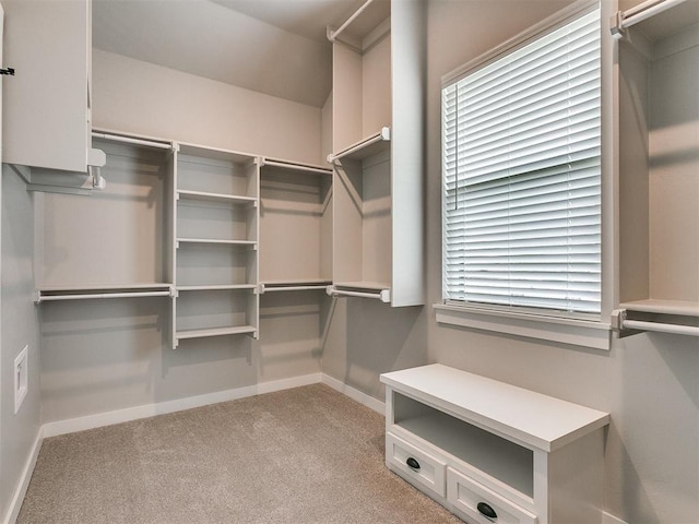 spacious closet with carpet