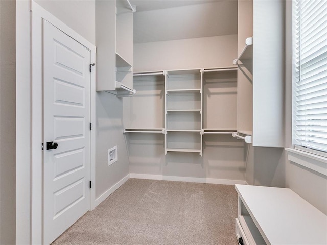 walk in closet featuring carpet flooring