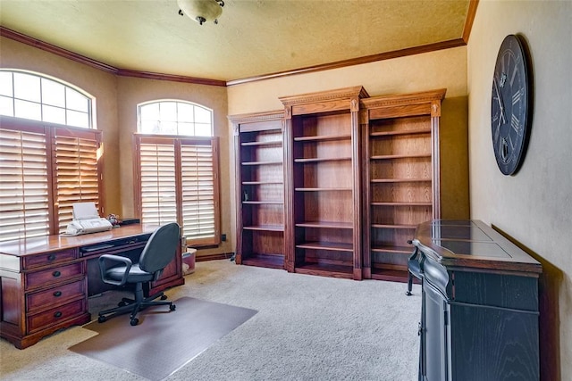 office with ornamental molding and light carpet