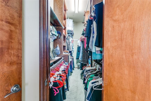 spacious closet featuring carpet floors