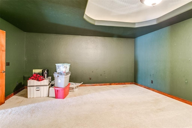 interior space featuring a tray ceiling and carpet flooring