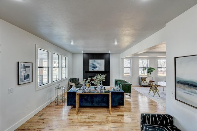 living room featuring a healthy amount of sunlight and light hardwood / wood-style flooring