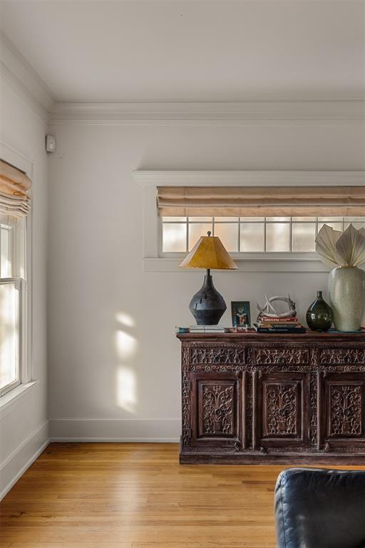 room details featuring hardwood / wood-style flooring and ornamental molding