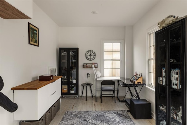 sitting room featuring light hardwood / wood-style floors