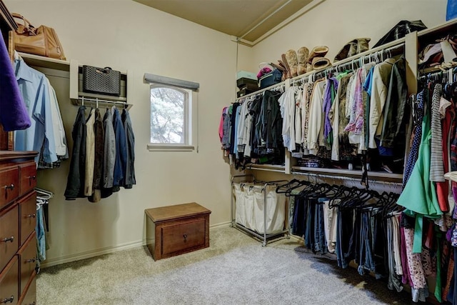 walk in closet with carpet floors