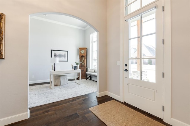 entrance foyer featuring dark hardwood / wood-style flooring, ornamental molding, and a healthy amount of sunlight