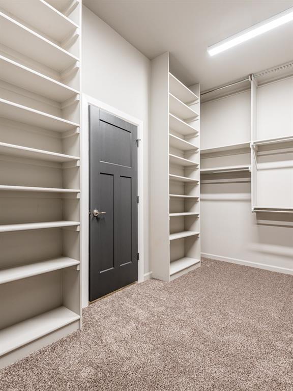 spacious closet with carpet flooring