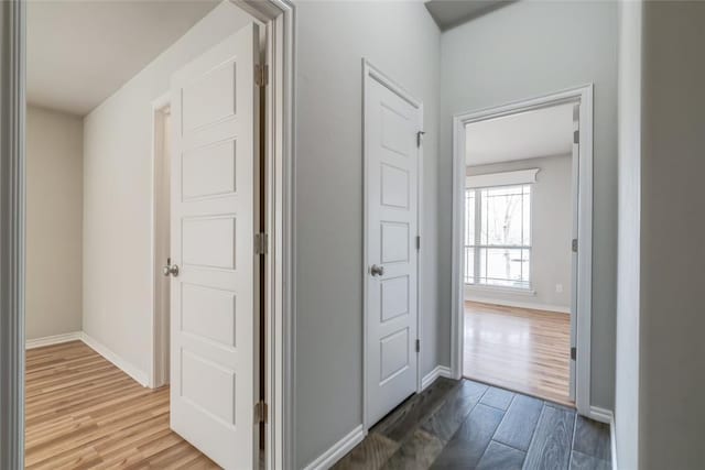 hall featuring wood-type flooring