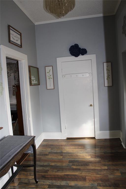 entrance foyer featuring crown molding, dark hardwood / wood-style floors, and a textured ceiling