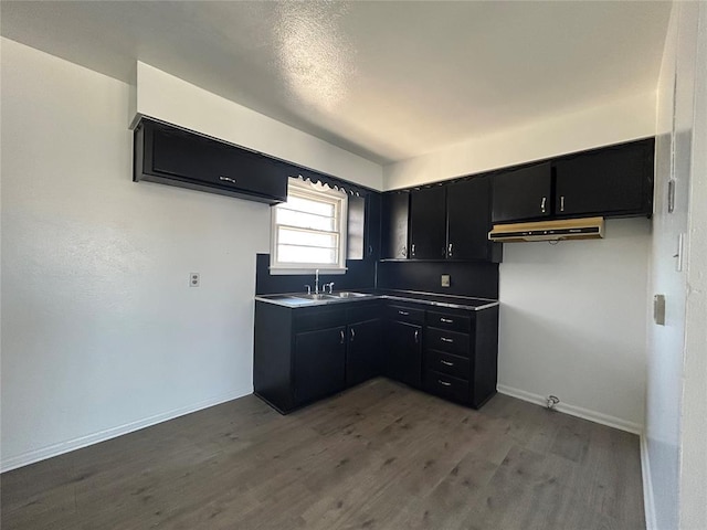 kitchen featuring under cabinet range hood, dark cabinets, wood finished floors, a sink, and baseboards