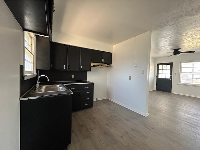 kitchen with dark wood-type flooring, a sink, a ceiling fan, baseboards, and dark cabinetry