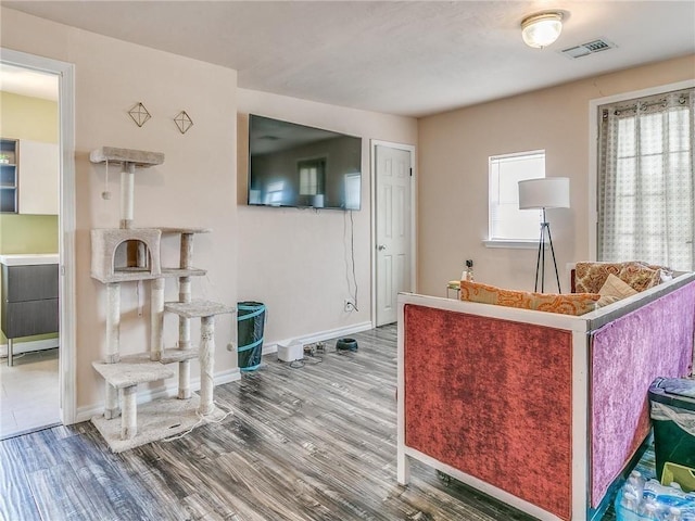 living room featuring wood-type flooring