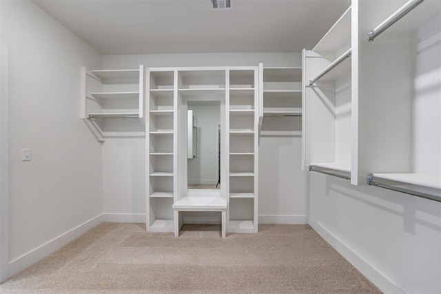 spacious closet with light carpet