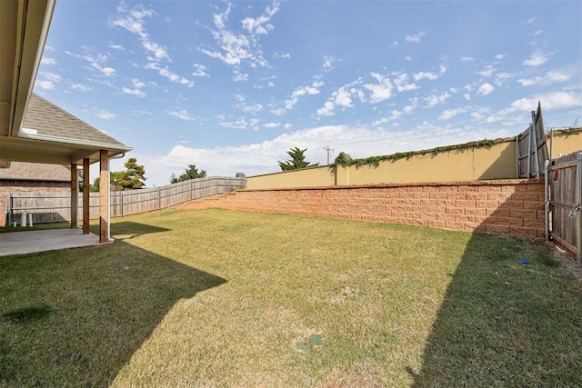 view of yard with a patio area