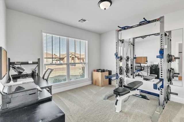 workout area featuring carpet and plenty of natural light