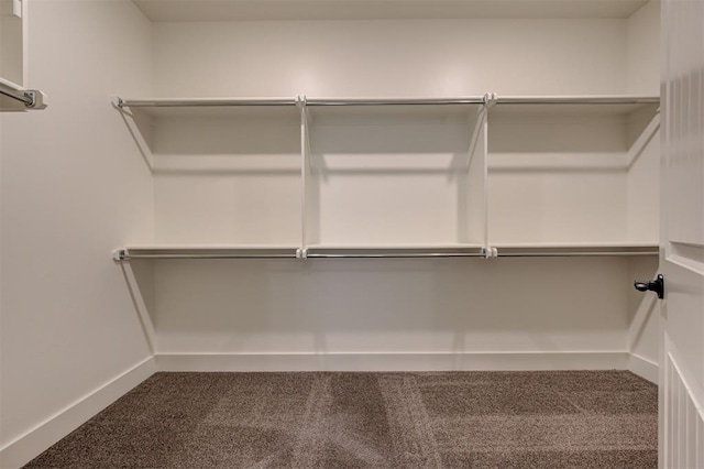 walk in closet with carpet floors