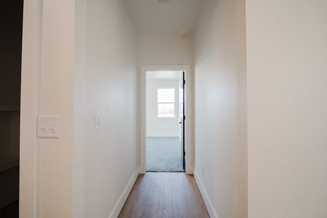 hallway with hardwood / wood-style flooring