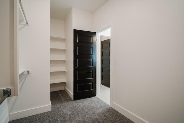 walk in closet with dark colored carpet