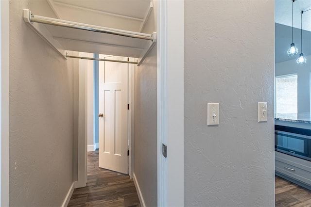 hallway featuring dark hardwood / wood-style flooring