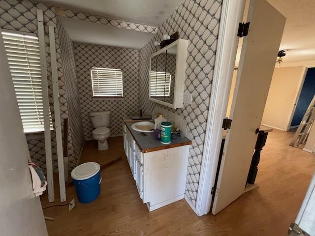 bathroom featuring hardwood / wood-style flooring, toilet, and vanity