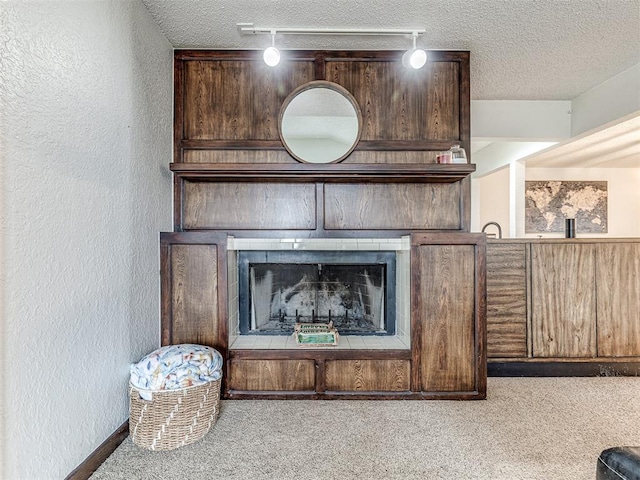 details featuring a fireplace, rail lighting, carpet, and a textured ceiling