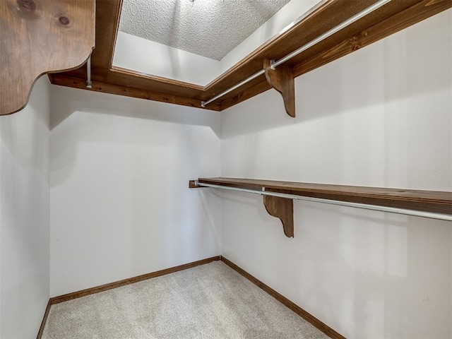 spacious closet with carpet floors