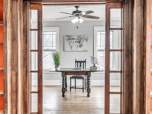 dining area featuring hardwood / wood-style flooring and ceiling fan