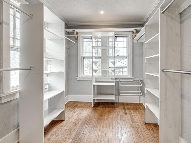 spacious closet with light hardwood / wood-style floors